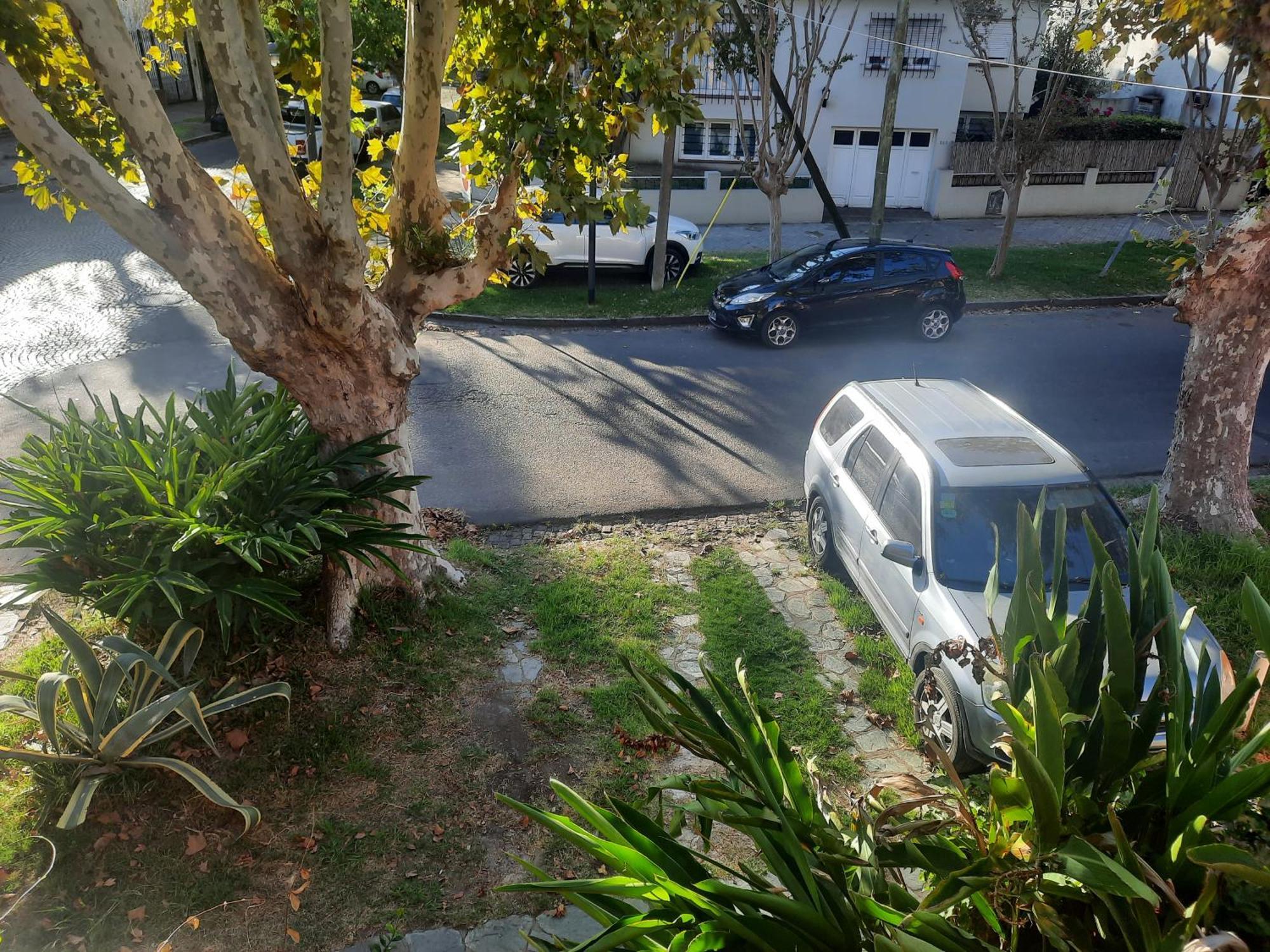 Aparts Del Jardin Tigre Esterno foto
